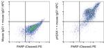 Phospho-Histone H2A.X (Ser139) Antibody in Flow Cytometry (Flow)