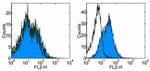 CD279 (PD-1) Antibody in Flow Cytometry (Flow)