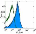 CD184 (CXCR4) Antibody in Flow Cytometry (Flow)