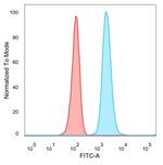 ZNF358 (Zinc Finger Protein 358) (Transcription Factor) Antibody in Flow Cytometry (Flow)