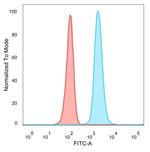 ZNF358 (Zinc Finger Protein 358) (Transcription Factor) Antibody in Flow Cytometry (Flow)