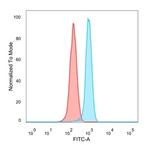 ZBTB46/BTBD4/ZNF340 Antibody in Flow Cytometry (Flow)