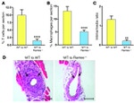 CD115 (c-fms) Antibody in Immunohistochemistry (IHC)