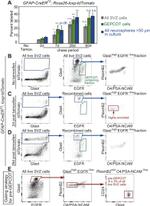 Plexin-B2 Antibody in Flow Cytometry (Flow)