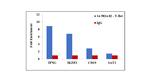 T-bet Antibody in ChIP Assay (ChIP)