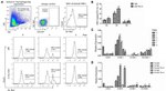 CD366 (TIM3) Antibody in Flow Cytometry (Flow)