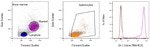 Ly-6G/Ly-6C Antibody