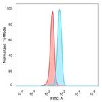 ZFP90 (Transcription Factor) Antibody in Flow Cytometry (Flow)