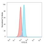 CREB3L4 Antibody in Flow Cytometry (Flow)