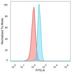 CTBP2 (C-terminal binding protein 2) Antibody in Flow Cytometry (Flow)