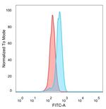 CTBP2 (C-terminal binding protein 2) Antibody in Flow Cytometry (Flow)