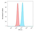 Catenin, beta (p120) Antibody in Flow Cytometry (Flow)