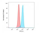 Catenin, beta (p120) Antibody in Flow Cytometry (Flow)