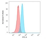 Catenin, beta (p120) Antibody in Flow Cytometry (Flow)