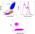 CD95 (APO-1/Fas) Antibody in Flow Cytometry (Flow)