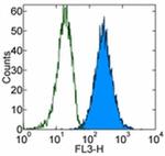 CD107a (LAMP-1) Antibody in Flow Cytometry (Flow)