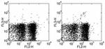 TCR gamma/delta Antibody in Flow Cytometry (Flow)