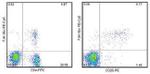 FOXP3 Antibody in Flow Cytometry (Flow)