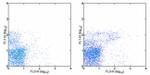 IgM Antibody in Flow Cytometry (Flow)