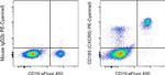 CD185 (CXCR5) Antibody in Flow Cytometry (Flow)