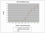 Human VCAM-1 Protein in Functional Assay (Functional)