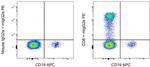 CD8a Antibody in Flow Cytometry (Flow)