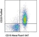 CD20 Antibody in Flow Cytometry (Flow)