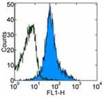 CD44 Antibody in Flow Cytometry (Flow)