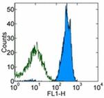 CD45 Antibody in Flow Cytometry (Flow)