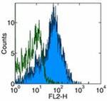 CD54 (ICAM-1) Antibody in Flow Cytometry (Flow)