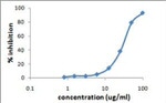 CD120a (TNF Receptor I) Antibody in Functional Assay (Functional)