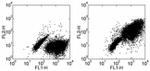 CD197 (CCR7) Antibody in Flow Cytometry (Flow)