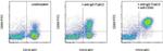 Mouse IgG (H+L) Secondary Antibody in Flow Cytometry (Flow)