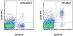 Human IgG, IgM (H+L) Secondary Antibody in Flow Cytometry (Flow)