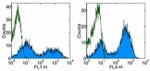 MHC Class II (I-A/I-E) Antibody in Flow Cytometry (Flow)