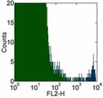 FceR1 alpha Antibody in Flow Cytometry (Flow)