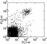 NK1.1 Antibody in Flow Cytometry (Flow)