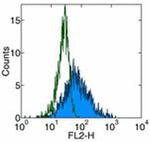 CD178 (Fas Ligand) Antibody in Flow Cytometry (Flow)