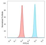 DAXX (Transcriptional Corepressor) Antibody in Flow Cytometry (Flow)