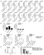 CD274 (PD-L1, B7-H1) Antibody in Flow Cytometry (Flow)