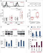 CD278 (ICOS) Antibody in T-Cell Activation (TCA)