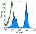 CD5 Antibody in Flow Cytometry (Flow)