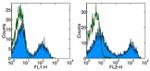 CD5 Antibody in Flow Cytometry (Flow)