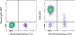 CD5 Antibody in Flow Cytometry (Flow)