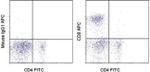 CD8a Antibody in Flow Cytometry (Flow)