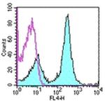 CD16/CD32 Antibody in Flow Cytometry (Flow)