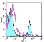 CD19 Antibody in Flow Cytometry (Flow)