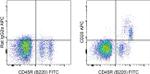 CD20 Antibody in Flow Cytometry (Flow)