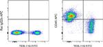 CD45 Antibody in Flow Cytometry (Flow)