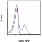 CD73 Antibody in Flow Cytometry (Flow)